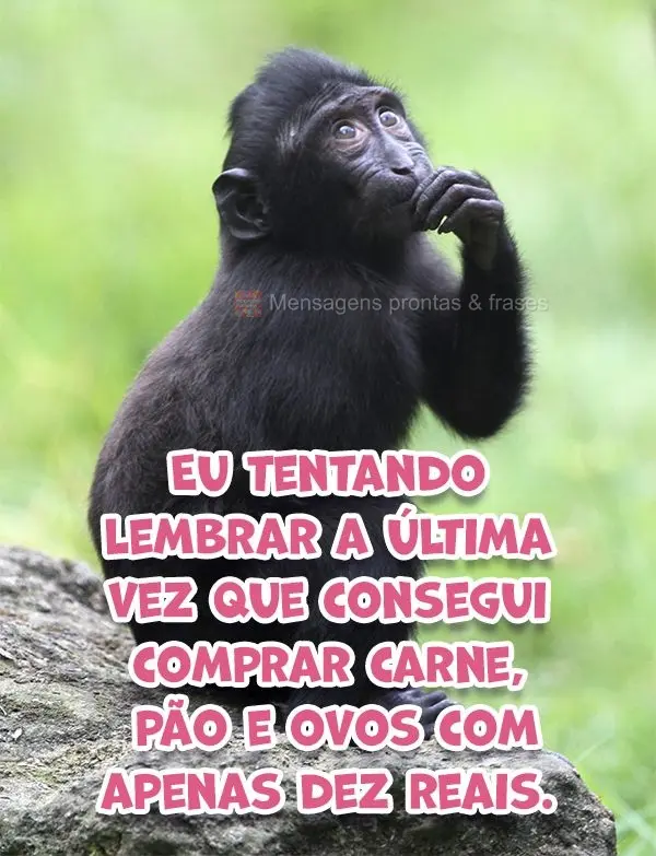 Eu tentando lembrar a última vez que conseguia comprar carne, pão e ovos com apenas dez reais.