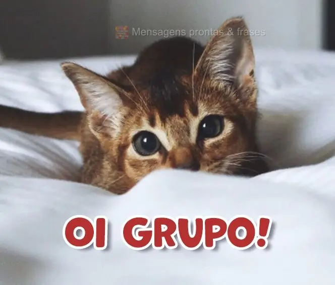 Oi Grupo!