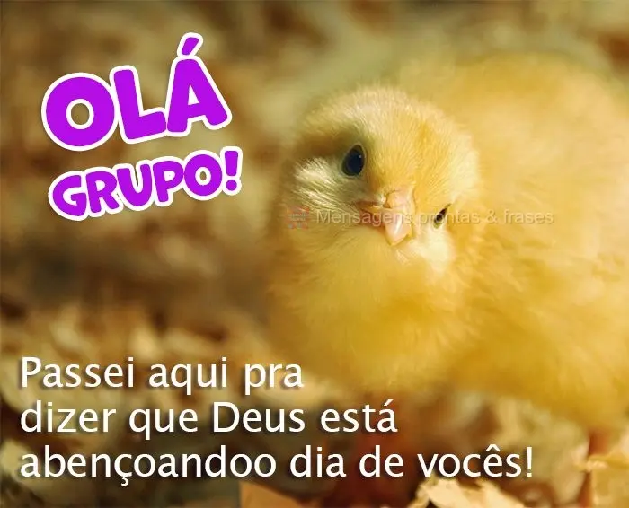 Passei aqui pra dizer que Deus está abençoando o dia de vocês! Olá grupo!