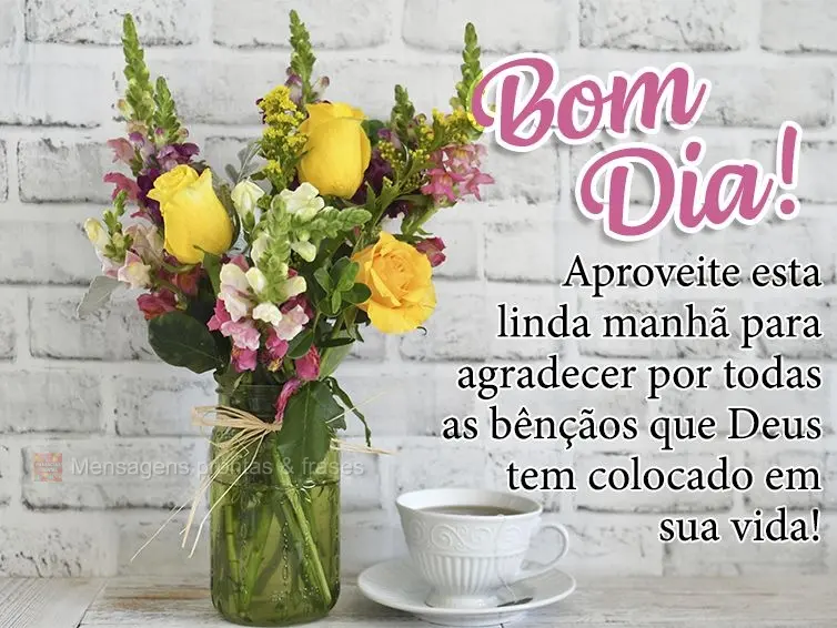 Aproveita esta linda manhã para agradecer por todas as bênçãos que Deus tem colocado em sua vida! Bom dia!