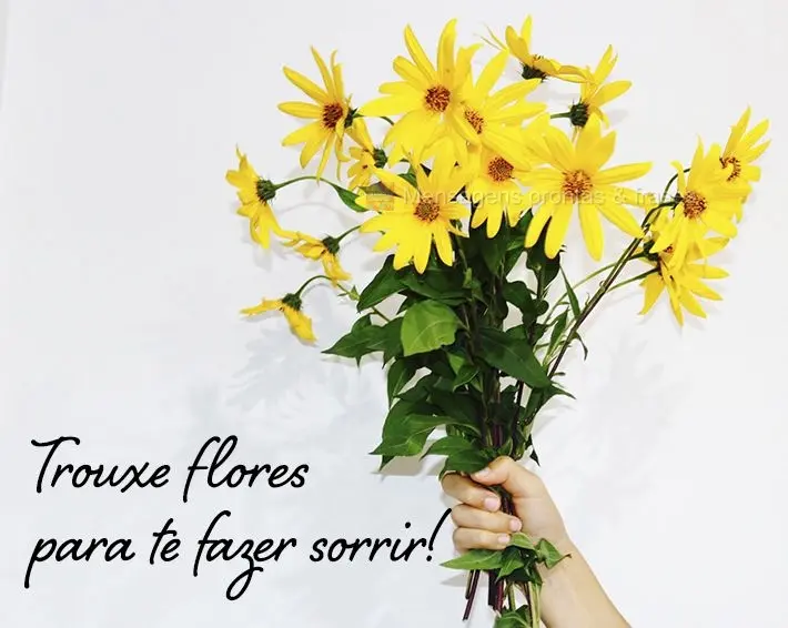 Trouxe flores para te fazer sorrir!