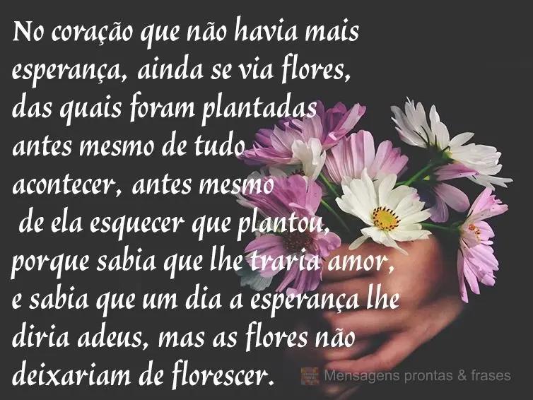 No coração que não havia mais esperança ainda se via flores, das quais foram plantadas antes mesmo de tudo acontecer, antes mesmo de ela esquecer que...