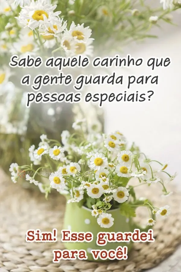 Sabe aquele carinho que a gente guarda para pessoas especiais? Sim! Esse guardei para você!