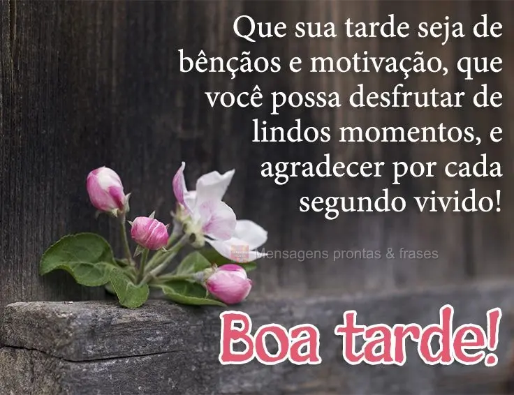 Que sua tarde seja de bênçãos e motivação, que você possa desfrutar de lindos momentos, e agradecer por cada segundo vivido! Boa tarde!