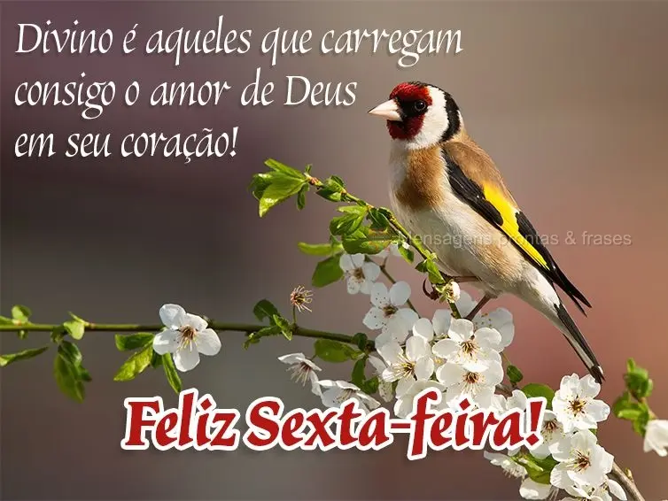 Divino é aqueles que carregam consigo o amor de Deus em seu coração!  Feliz Sexta-feira!