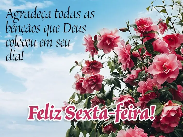 Agradeça todas as bênçãos que Deus colocou em seu dia! Feliz Sexta-feira!