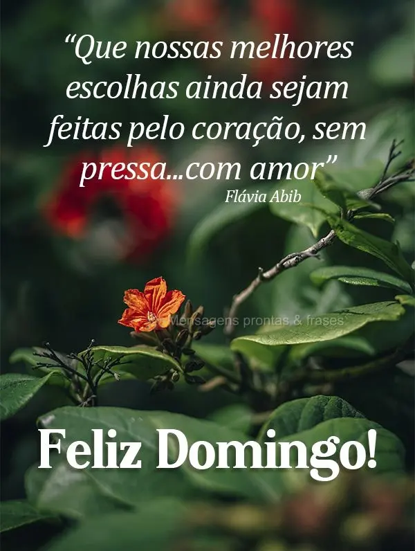 “Que nossas melhores escolhas ainda sejam feitas pelo coração, sem pressa...com amor” Feliz Domingo! Flávia Abib