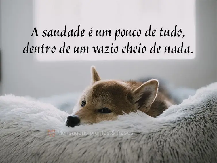 A saudade é um pouco de tudo, dentro de um vazio cheio de nada.