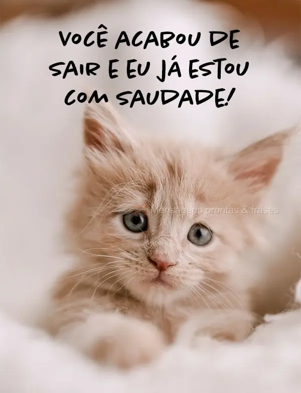 Você acabou de sair e eu já estou com saudade!