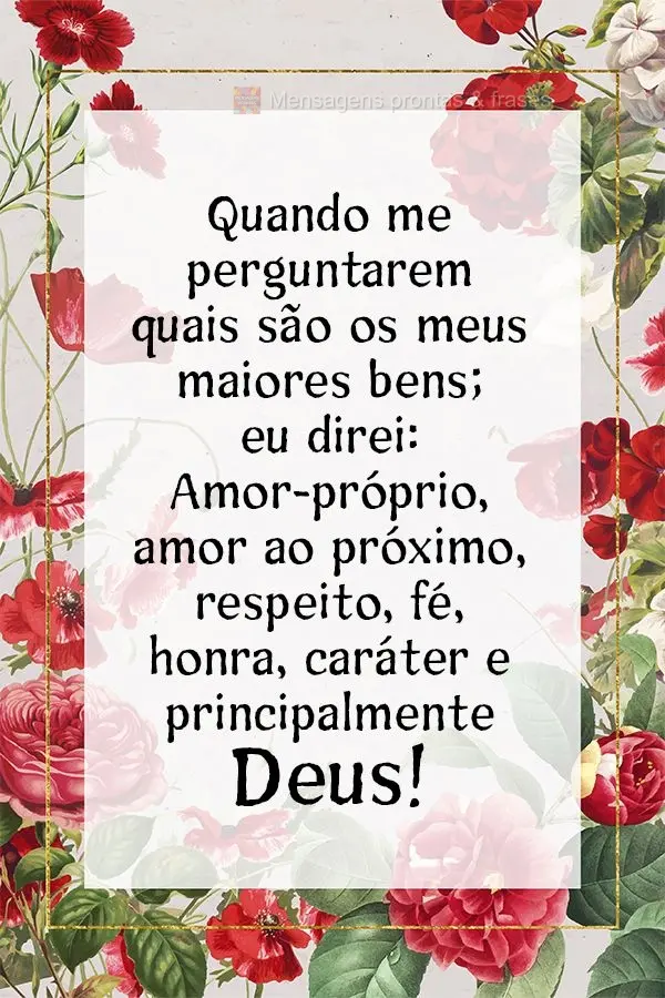 Quando me perguntarem quais são os meus maiores bens; eu direi: Amor-próprio, amor ao próximo, respeito, fé, honra, caráter e principalmente Deus!...