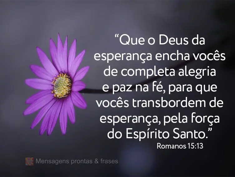 “Que o Deus da esperança encha vocês de completa alegria e paz na fé, para que vocês transbordem de esperança, pela força do Espírito Santo.” ...