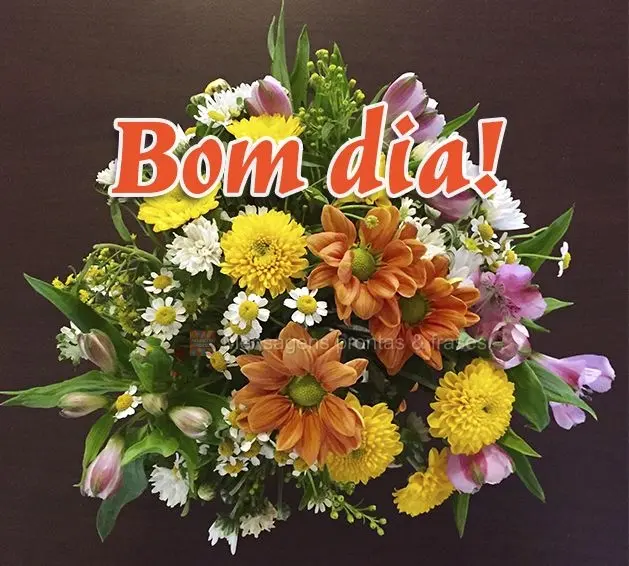 Bom dia!