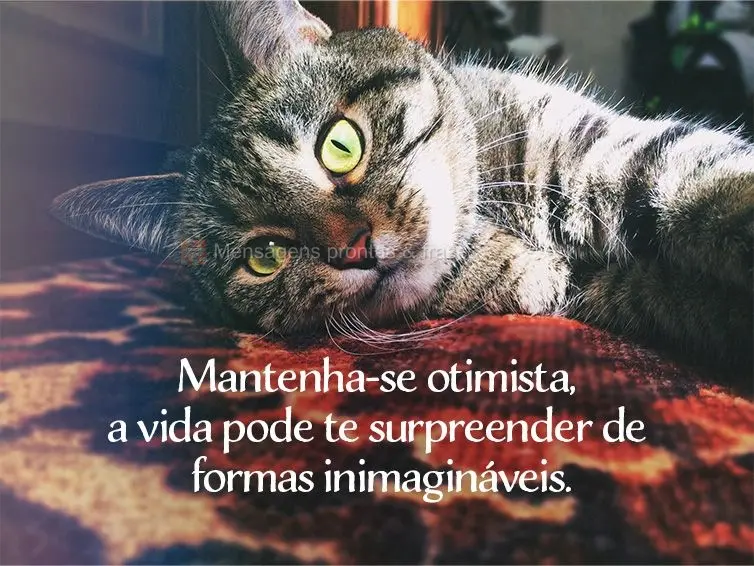 Mantenha-se otimista, a vida pode te surpreender de formas inimagináveis.