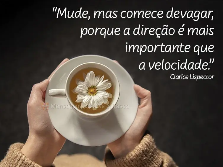 “Mude, mas comece devagar, porque a direção é mais importante que a velocidade.” Clarice Lispector