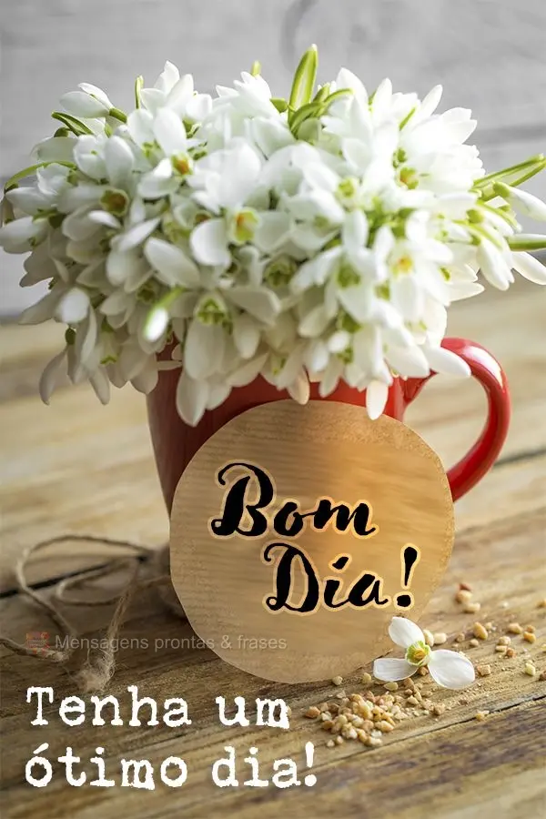 Tenha um ótimo dia! Bom dia!