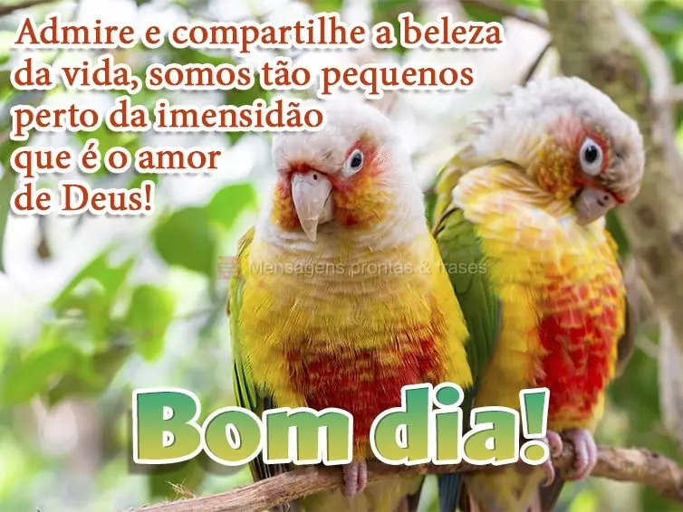 Admire e compartilhe a beleza da vida, somos tão pequenos perto da imensidão que é o amor de Deus! Bom dia!