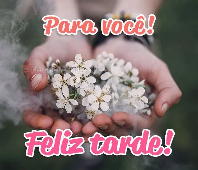 Para você! Feliz tarde!