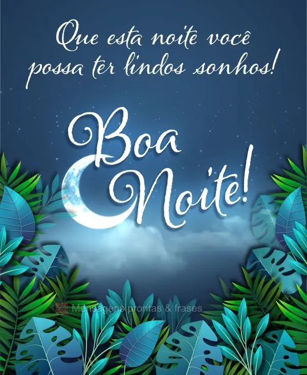 Que esta noite você possa ter lindos sonhos! Boa noite!