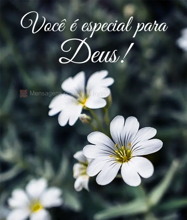 Você é especial para Deus!