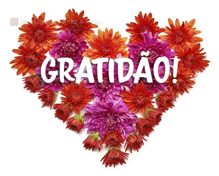 Gratidão!