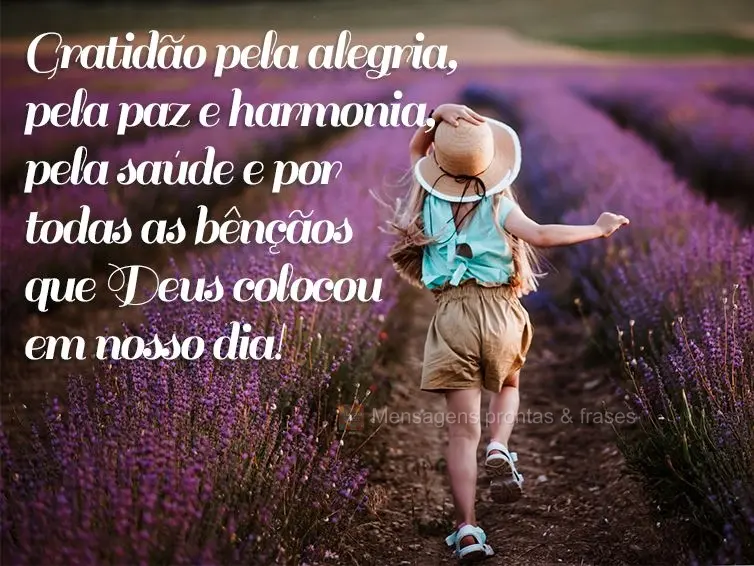 Gratidão pela alegria, pela paz e harmonia, pela saúde e por todas as bênçãos que Deus colocou em nosso dia!