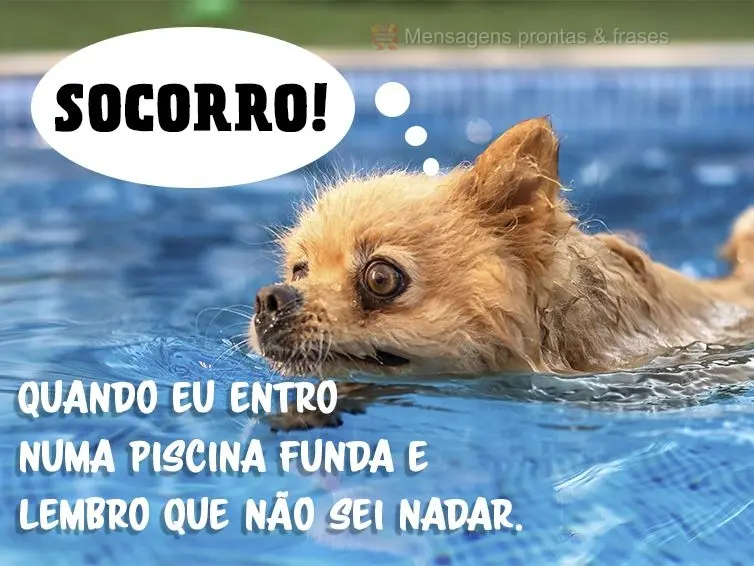 Quando eu entro numa piscina funda e lembro que não sei nadar. Socorro!