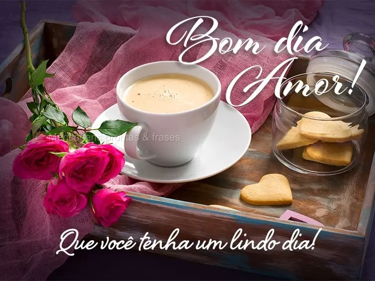 Que você tenha um lindo dia! Bom dia amor! 