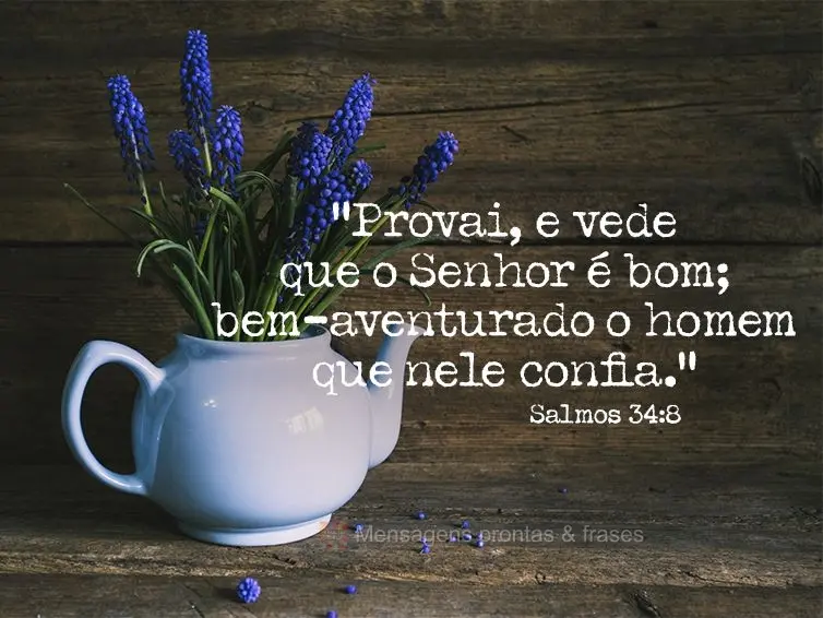 “Provai, e vede que o Senhor é bom; bem-aventurado o homem que nele confia.” Salmos 34:8