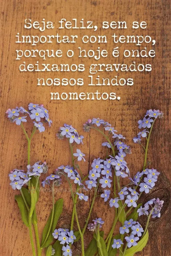 Seja feliz sem se importar com tempo, porque o hoje é onde deixamos gravados nossos lindos momentos.