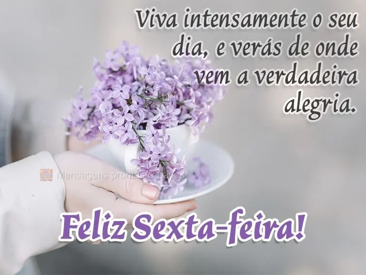 Viva intensamente o seu dia, e verás de onde vem a verdadeira alegria. Feliz Sexta-feira! 