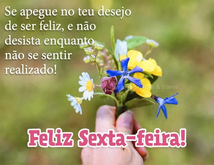 Se apegue no teu desejo de ser feliz, e não desista enquanto não se sentir realizado! Feliz Sexta-feira!