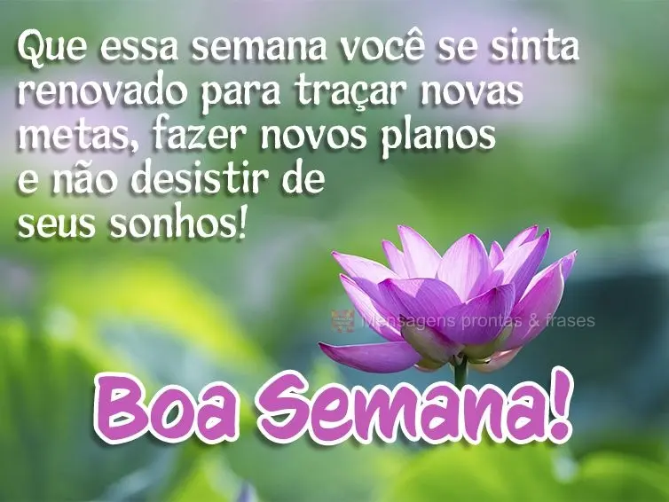 Que nessa semana você se sinta renovado para traçar novas metas, fazer novos planos e não desistir de seus sonhos! Boa Semana!