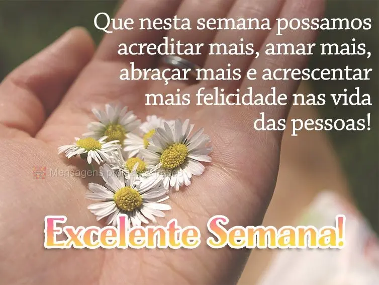 Que nesta semana possamos acreditar mais, amar mais, abraçar mais e acrescentar mais felicidade na vida das pessoas! Excelente Semana!