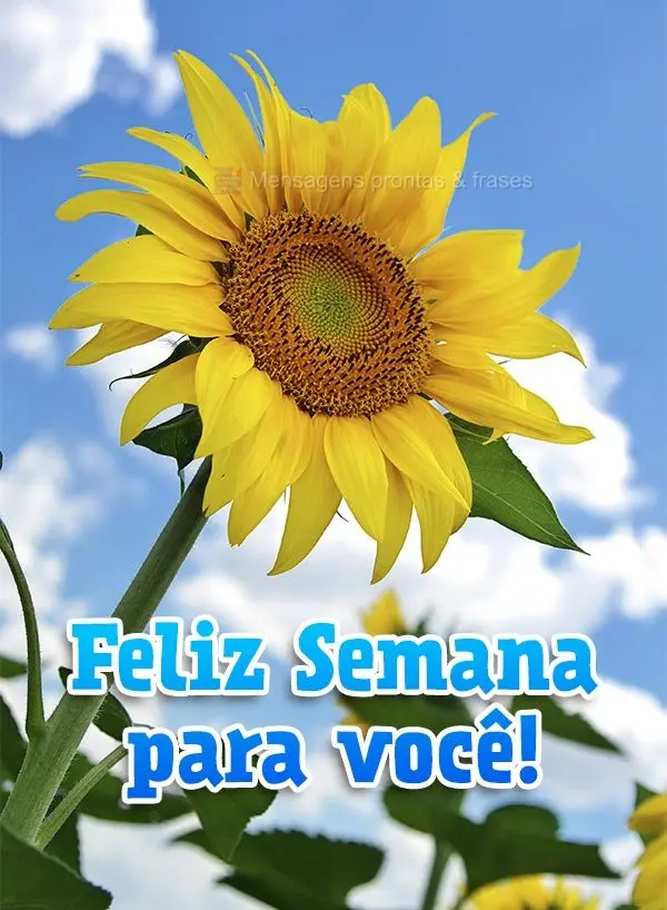 Feliz Semana para você!