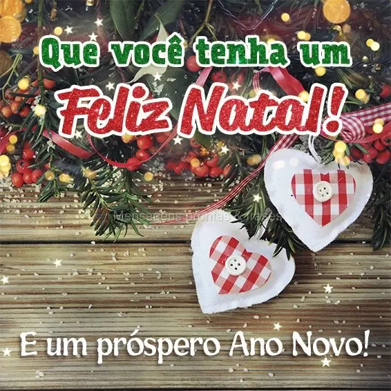 Que você tenha um Feliz Natal! E um próspero Ano novo!