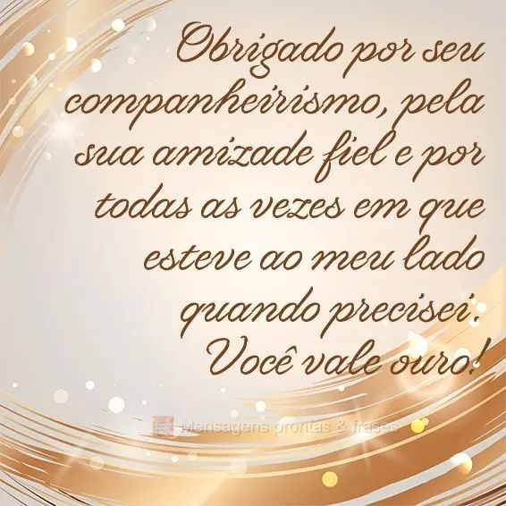 Obrigado por seu companheirismo, pela sua amizade fiel e por todas as vezes em que esteve ao meu lado quando precisei. Você vale ouro!