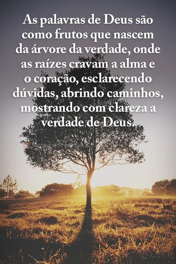 As palavras de Deus são como frutos que nascem da árvore da verdade, onde as raízes cravam a alma e o coração, esclarecendo dúvidas, abrindo caminh...