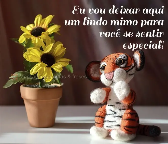 Eu vou deixar aqui um lindo mimo para você se sentir especial!