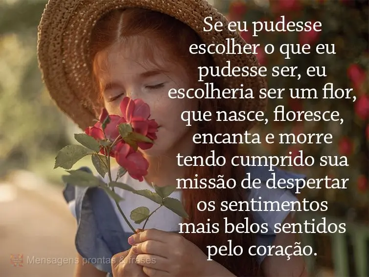 Se eu pudesse escolher o que eu pudesse ser, eu escolheria ser uma flor, que nasce, floresce, encanta e morre tendo cumprido sua missão de despertar os ...