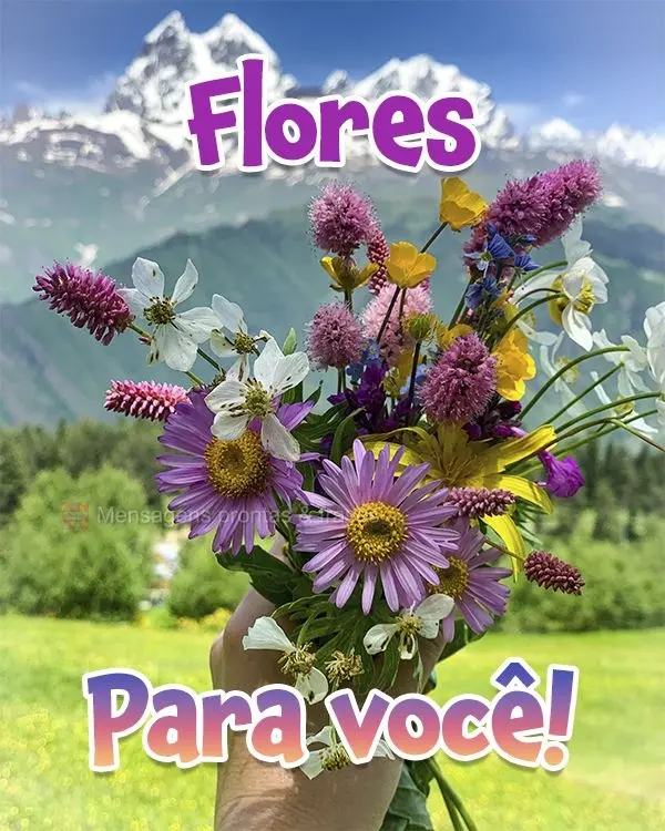 Flores para você!