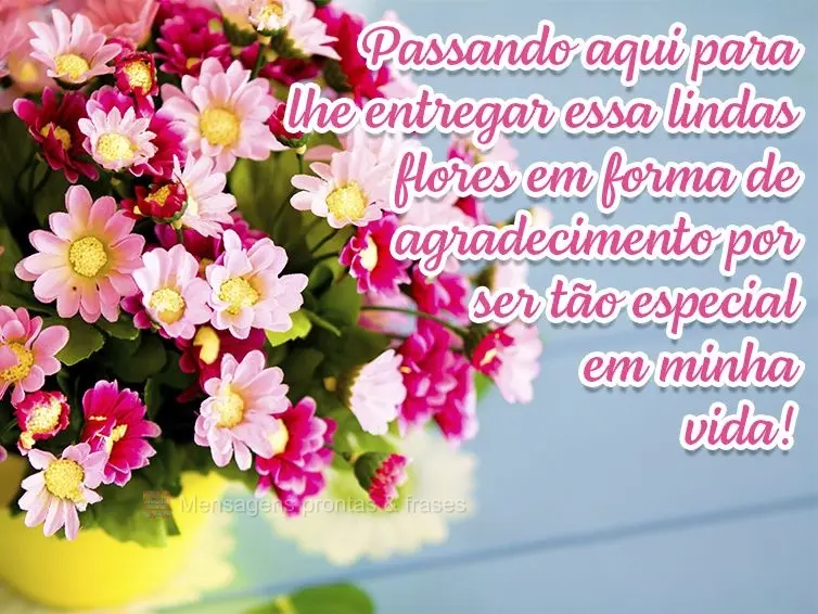 Passando aqui para lhe entregar essas lindas flores em forma de agradecimento por ser tão especial em minha vida!