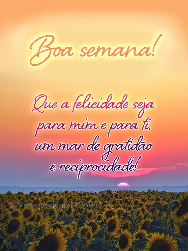 Que a felicidade seja para mim e para ti um mar de gratidão e reciprocidade! Boa semana! 