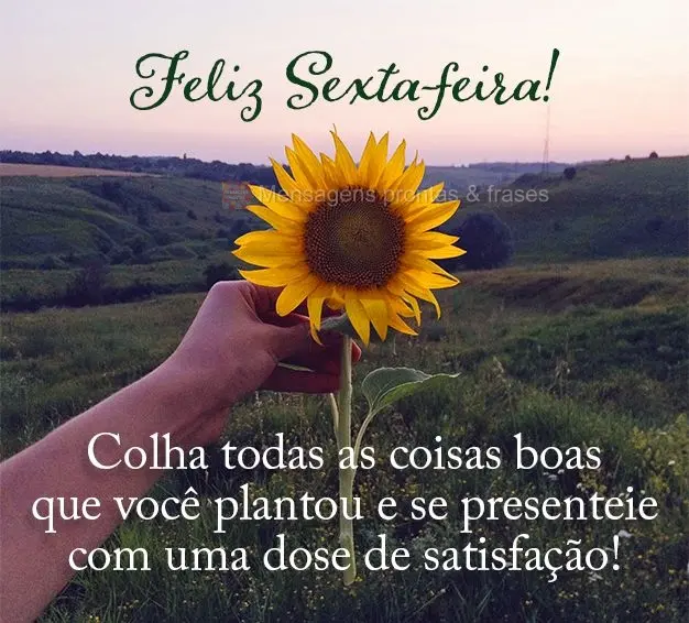 Colha todas as coisas boas que você plantou e se presenteie com uma dose de satisfação! Feliz Sexta-feira!