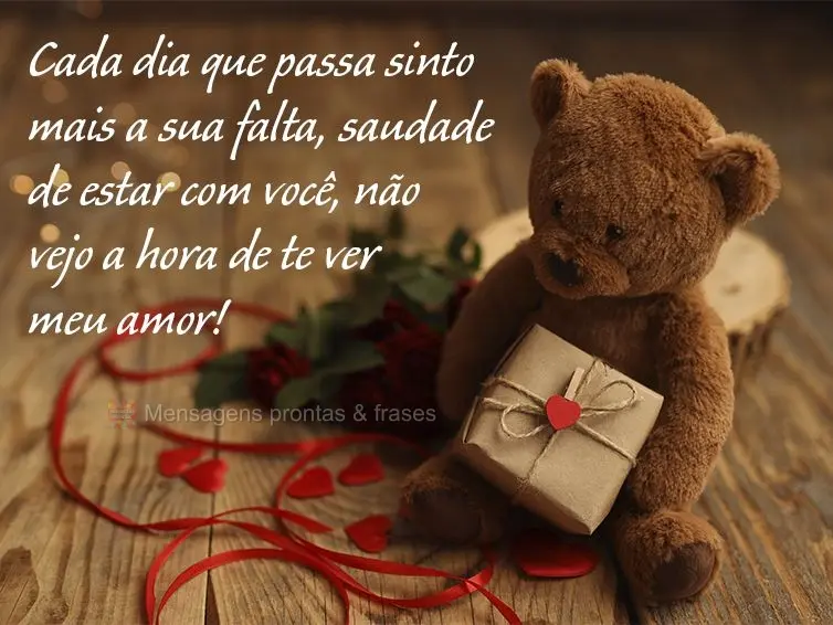 Cada dia que passa sinto mais a sua falta. Saudade de estar com você, não vejo a hora de te ver, meu amor!