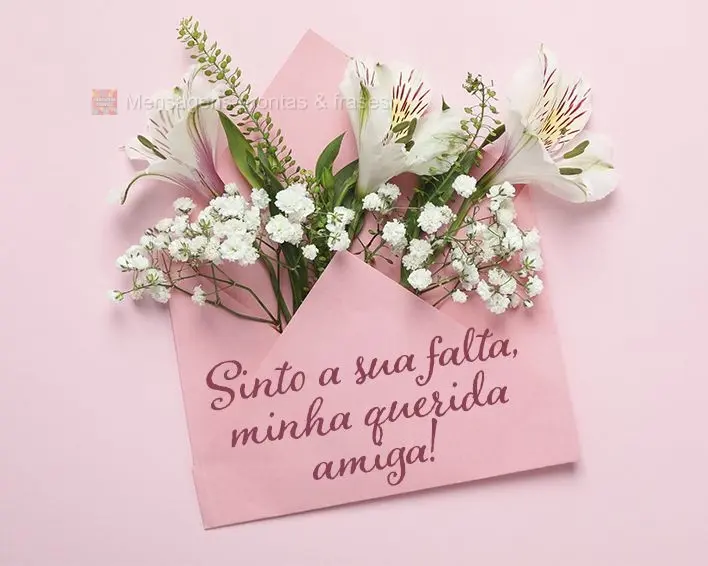 Sinto a sua falta, minha querida amiga!