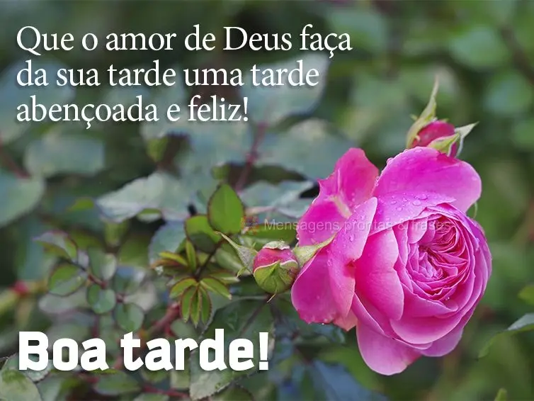 Que o amor de Deus faça da sua tarde uma tarde abençoada e feliz! Boa tarde!