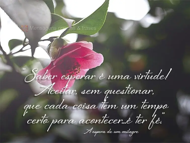 “Saber esperar é uma virtude! Aceitar, sem questionar, que cada coisa tem um tempo certo para acontecer...é ter fé.”  À espera de um milagre