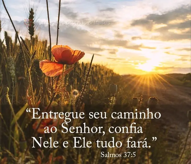 "Entregue seu caminho ao Senhor, confia Nele e Ele tudo fará.” Salmos 37:5