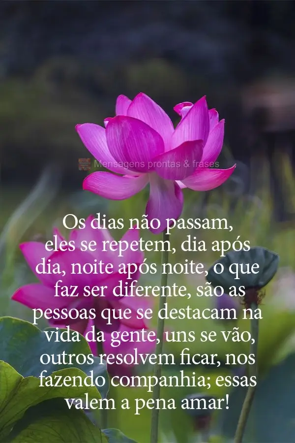 Os dias não passam, eles se repetem, dia após dia, noite após noite. O que faz ser diferente são as pessoas que se destacam na vida da gente. Uns se ...