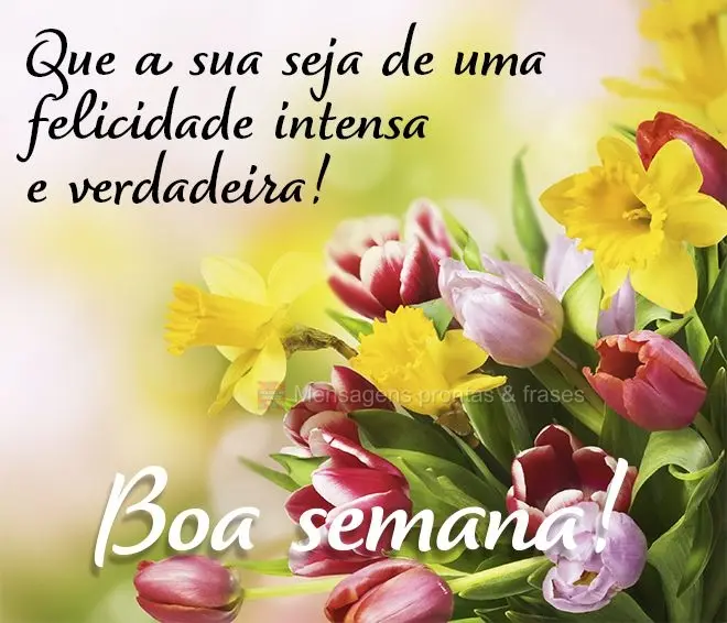 Que a sua semana seja de uma felicidade intensa e verdadeira! Boa semana! 